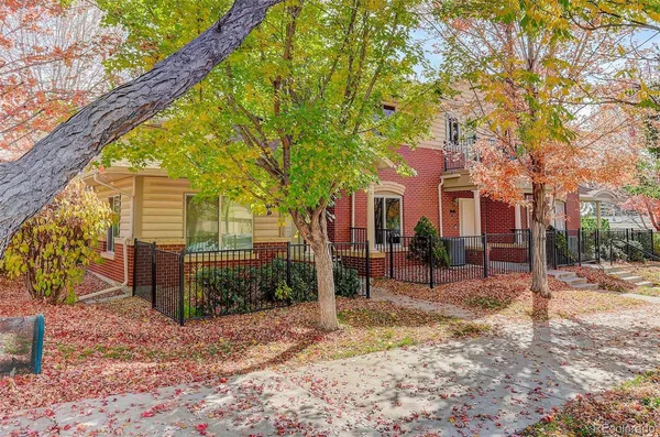 a view of street with large trees