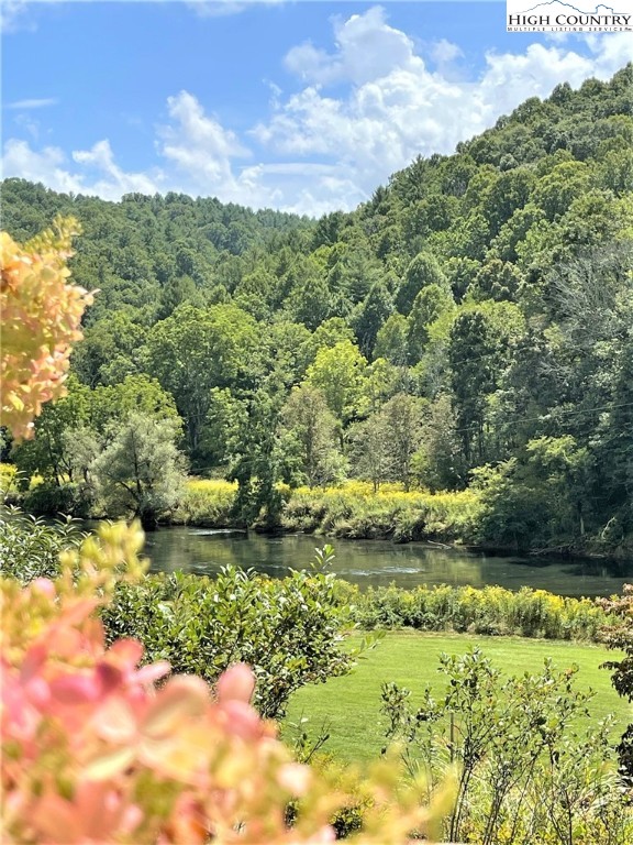 1029 Bill Cooper Road Crumpler, NC 28617 - Photo 5 of 50 Gallery Image 5