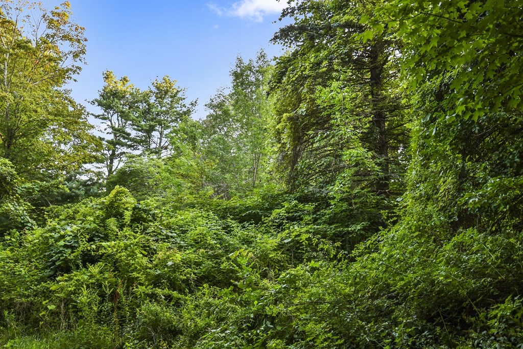 6 Tiderman Road Wales, MA 01081 - Photo 7 of 12 Gallery Image 7