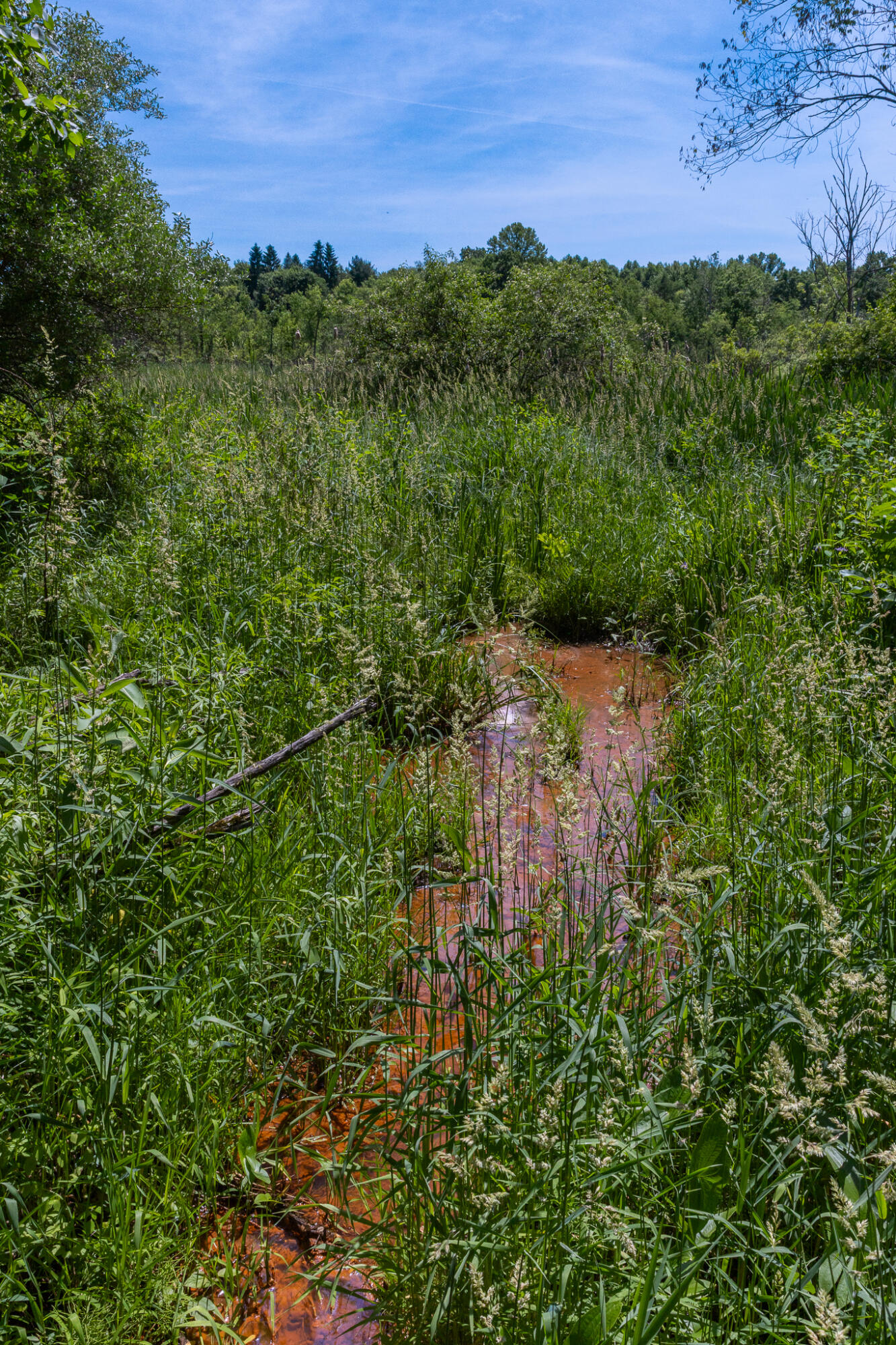 28 28 Mile Road Albion, MI 49224 - Photo 23 of 41 28 Mile -15