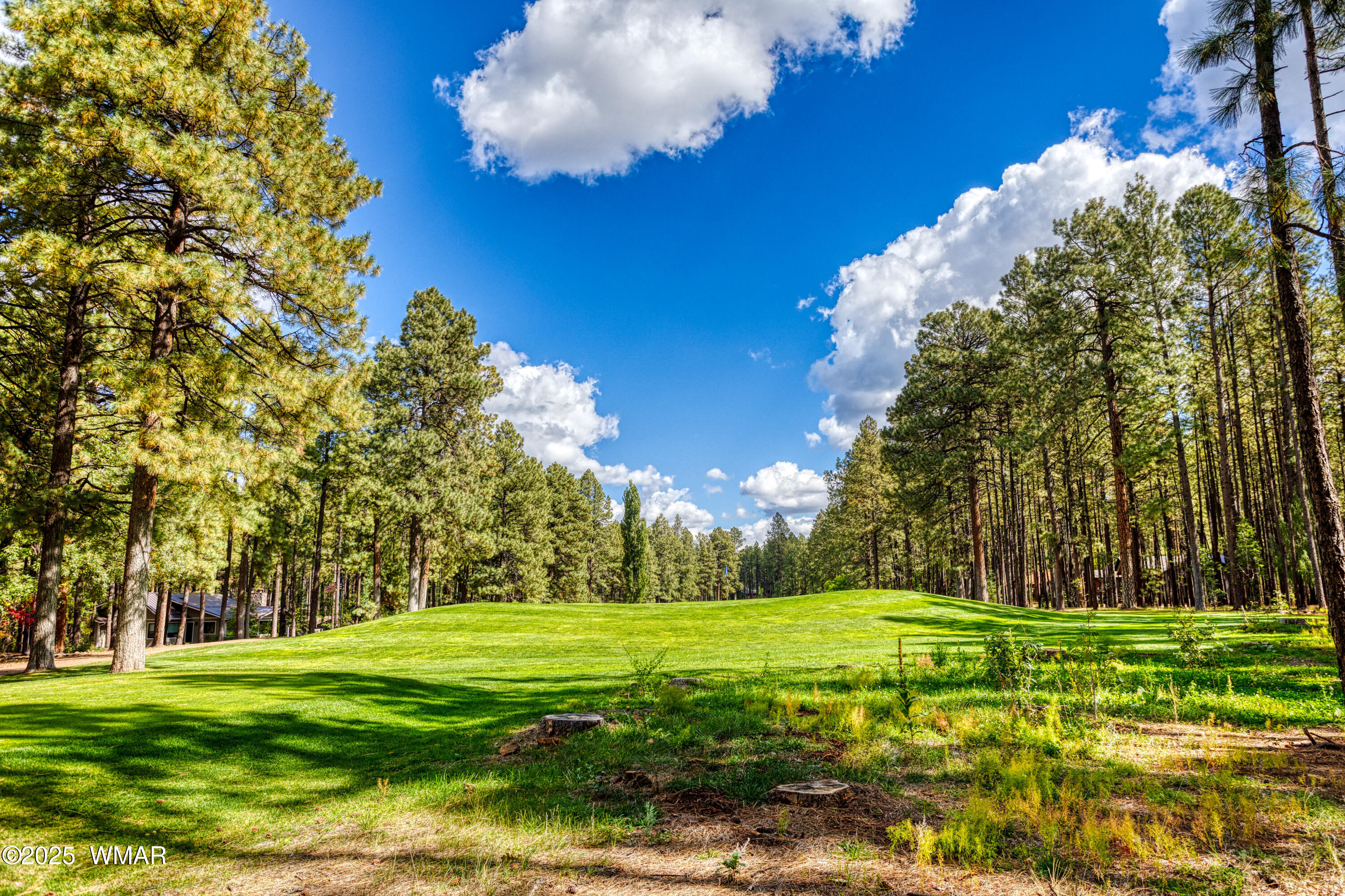 7510 Geronimo Road Pinetop, AZ 85935 - Photo 7 of 40