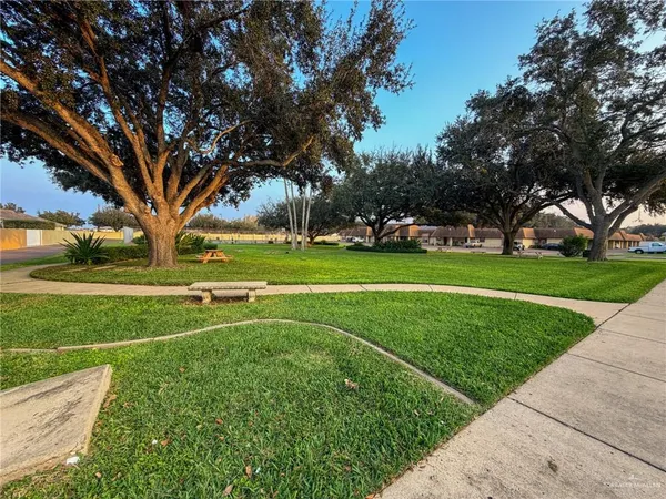 a view of a trees with a yard