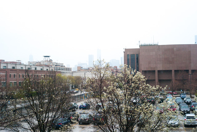 6 South Laflin Street, Unit 308 Chicago, IL 60607 - Photo 15 of 16 a view of a lake