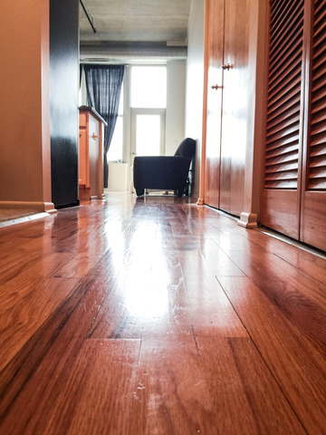 6 South Laflin Street, Unit 308 Chicago, IL 60607 - Photo 5 of 16 a living room with furniture and a large window