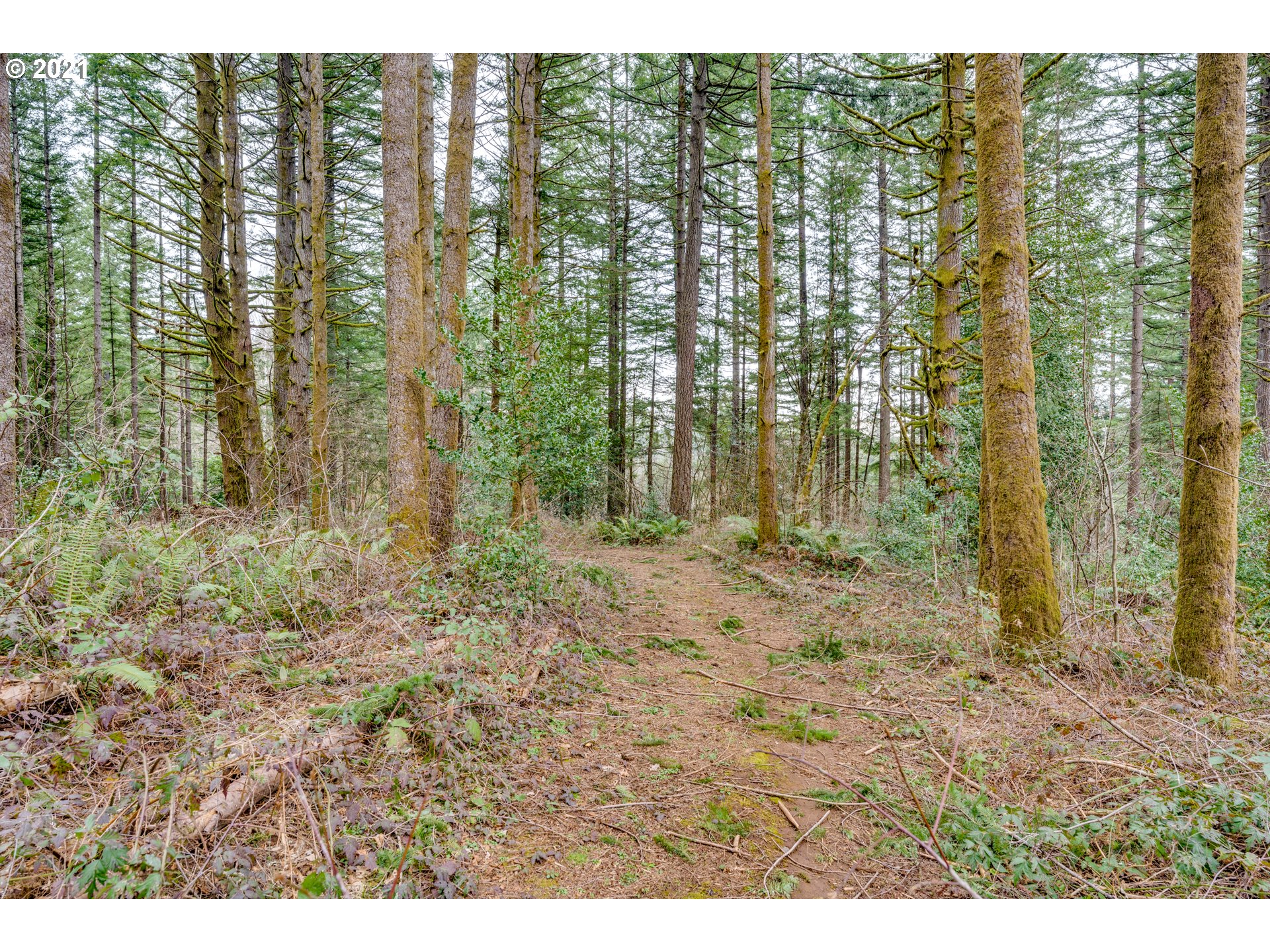 29007 Northeast 39th Street Camas, WA 98607 - Photo 28 of 32 Gallery Image 28
