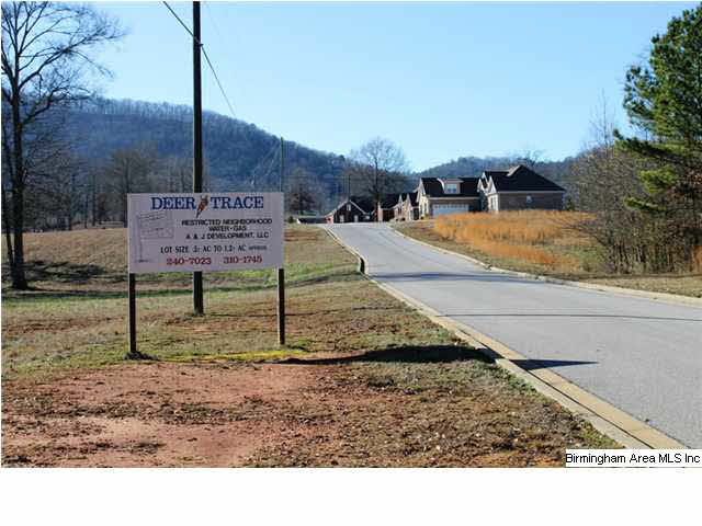 Mount Eagle Lane, Unit 2 Weaver, AL 36277 - Photo 9 of 26