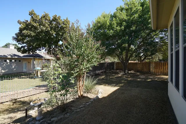a view of a yard with plants and large trees