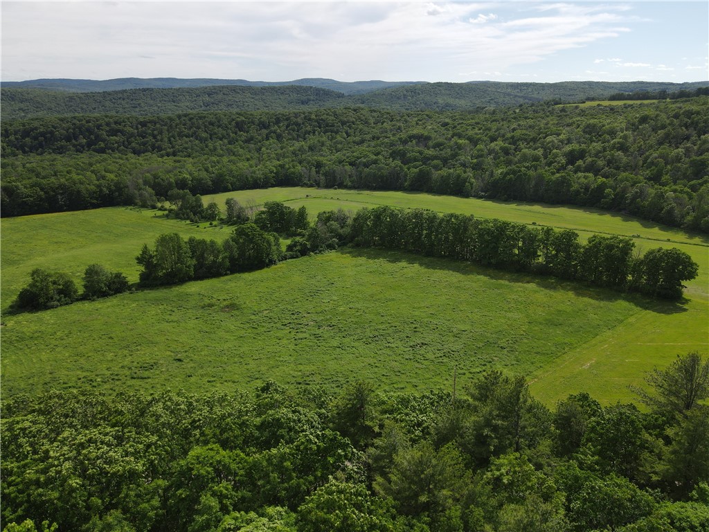 5243 Reed Road Friendship, NY 14739 - Photo 42 of 50