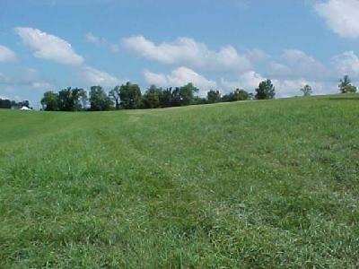 0 Barnes Road, Unit 6 Williamstown, KY 41097 - Photo 1 of 2 Gallery Image 1