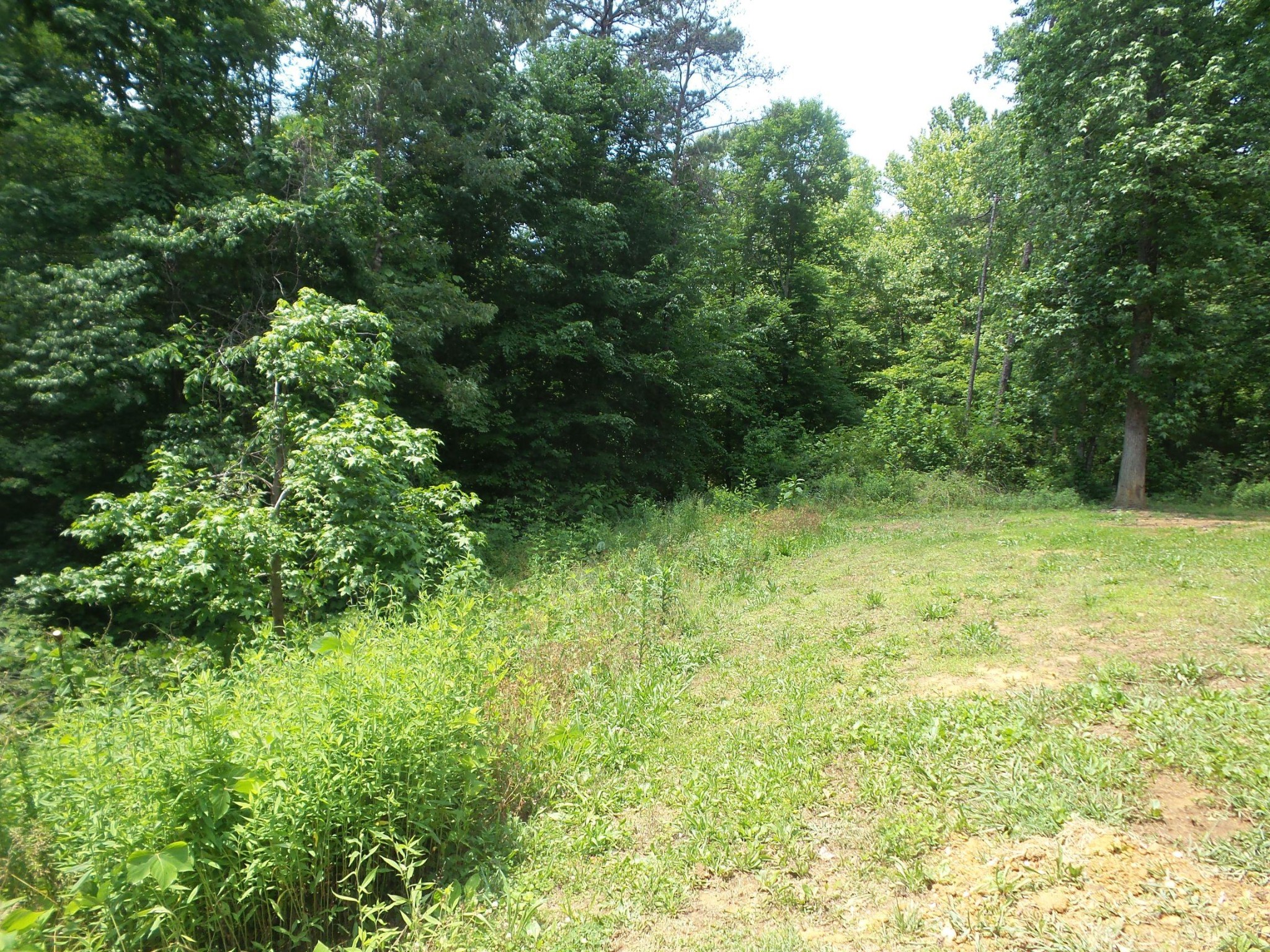 1930 Berry Road Knoxville, TN 37920 - Photo 24 of 28 Gallery Image 24