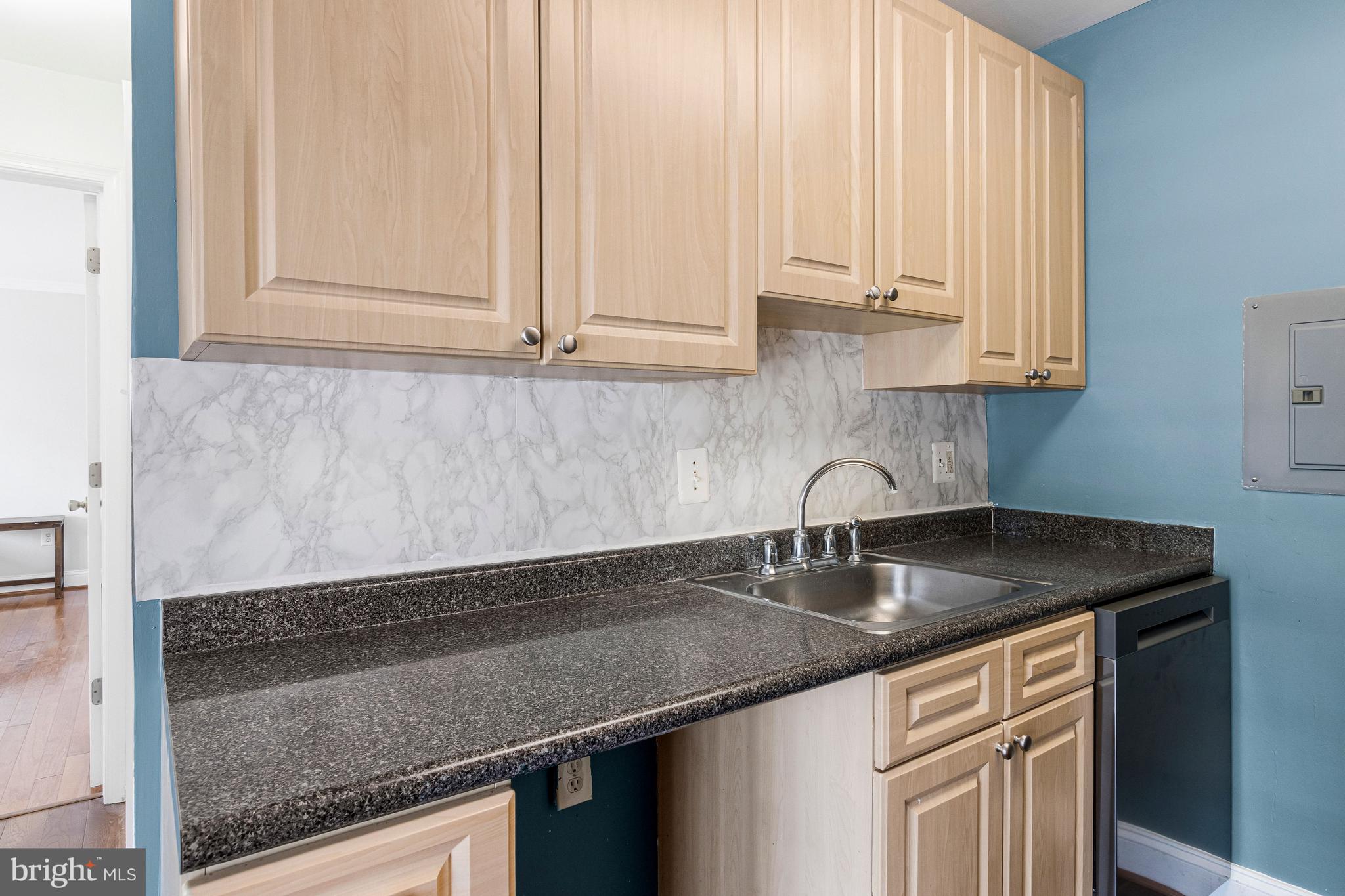 1005 Chillum Road, Unit 207 Hyattsville, MD 20782 - Photo 16 of 25 Cabinets