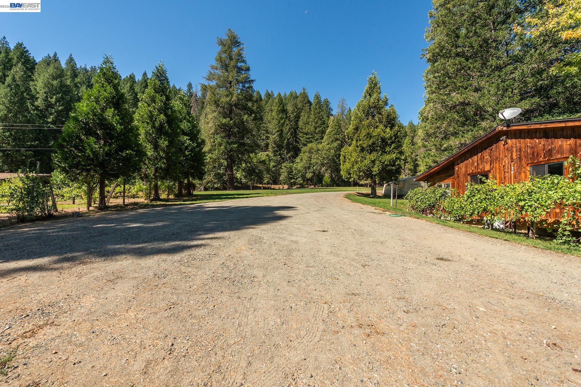4481 Rush Creek Road Lewiston, CA 96052 - Photo 59 of 68