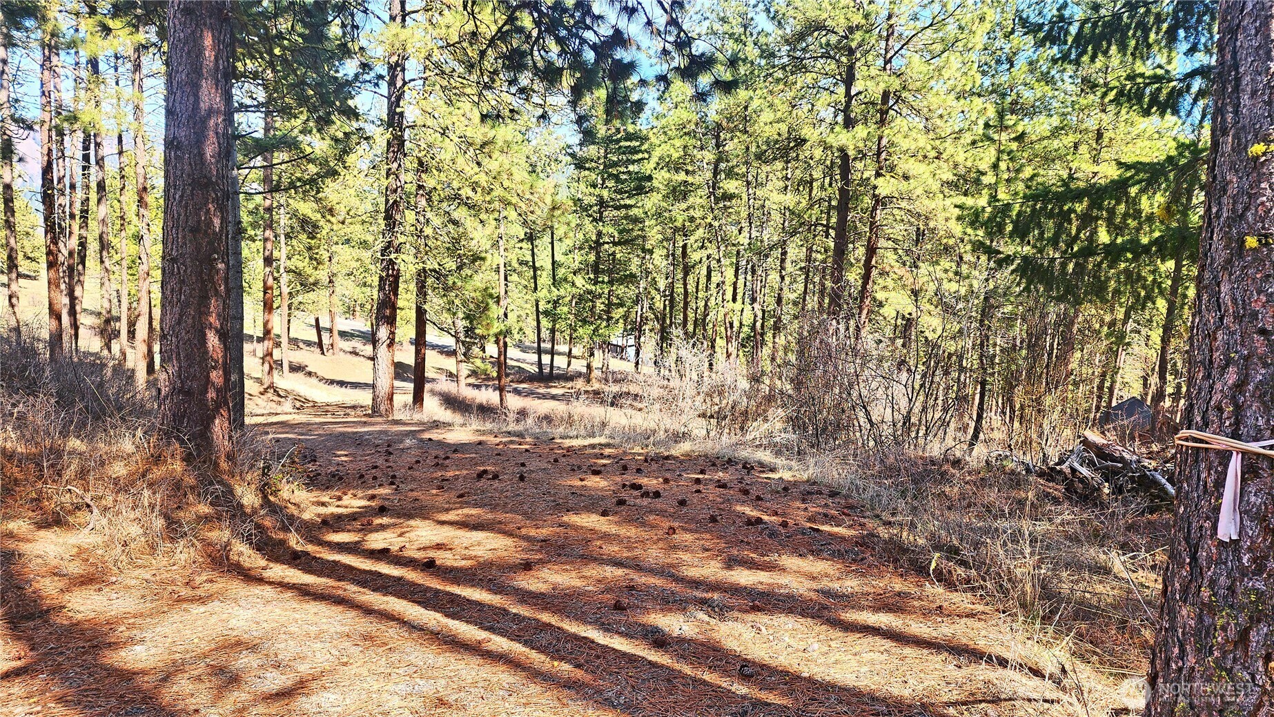 293 Swauk Pines Road Cle Elum, WA 98922 - Photo 5 of 14 Gallery Image 5