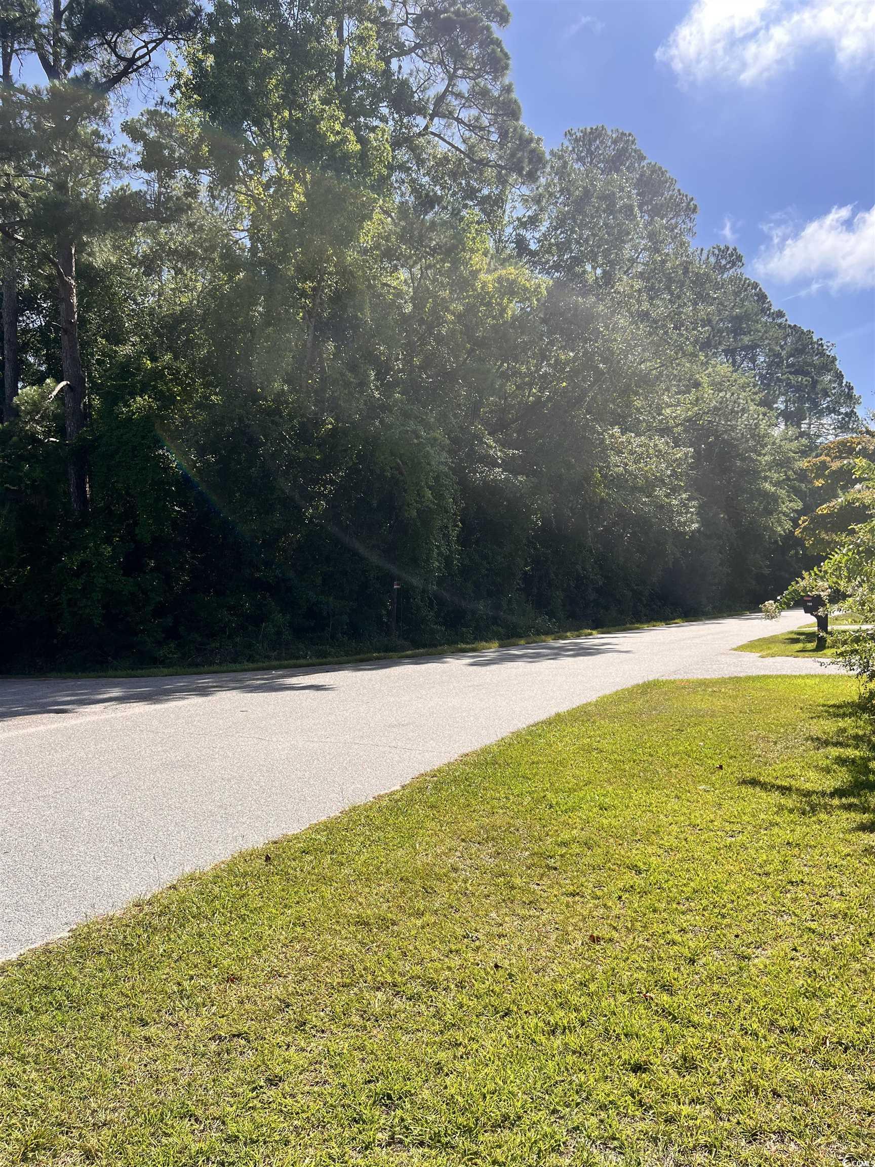 Edgewood Drive Dillon, SC 29536 - Photo 3 of 3 View of asphalt street