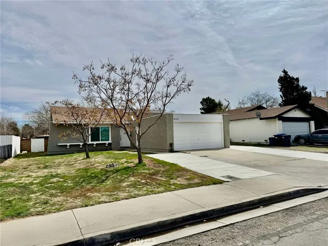 a view of a backyard with a tree