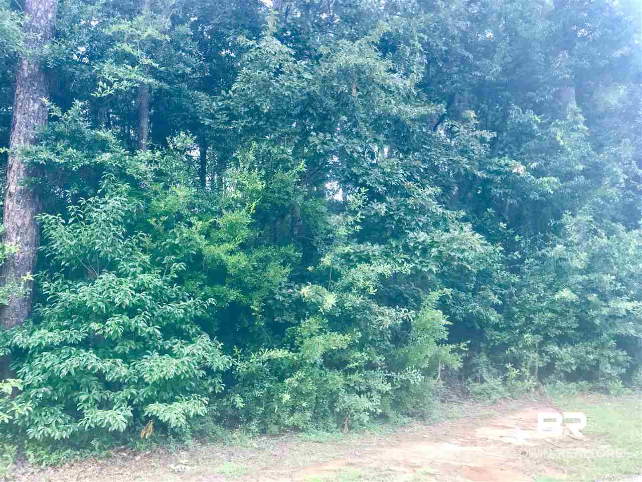 124 Meadow Wood Loop Daphne, AL 36526 - Photo 3 of 4 Gallery Image 3