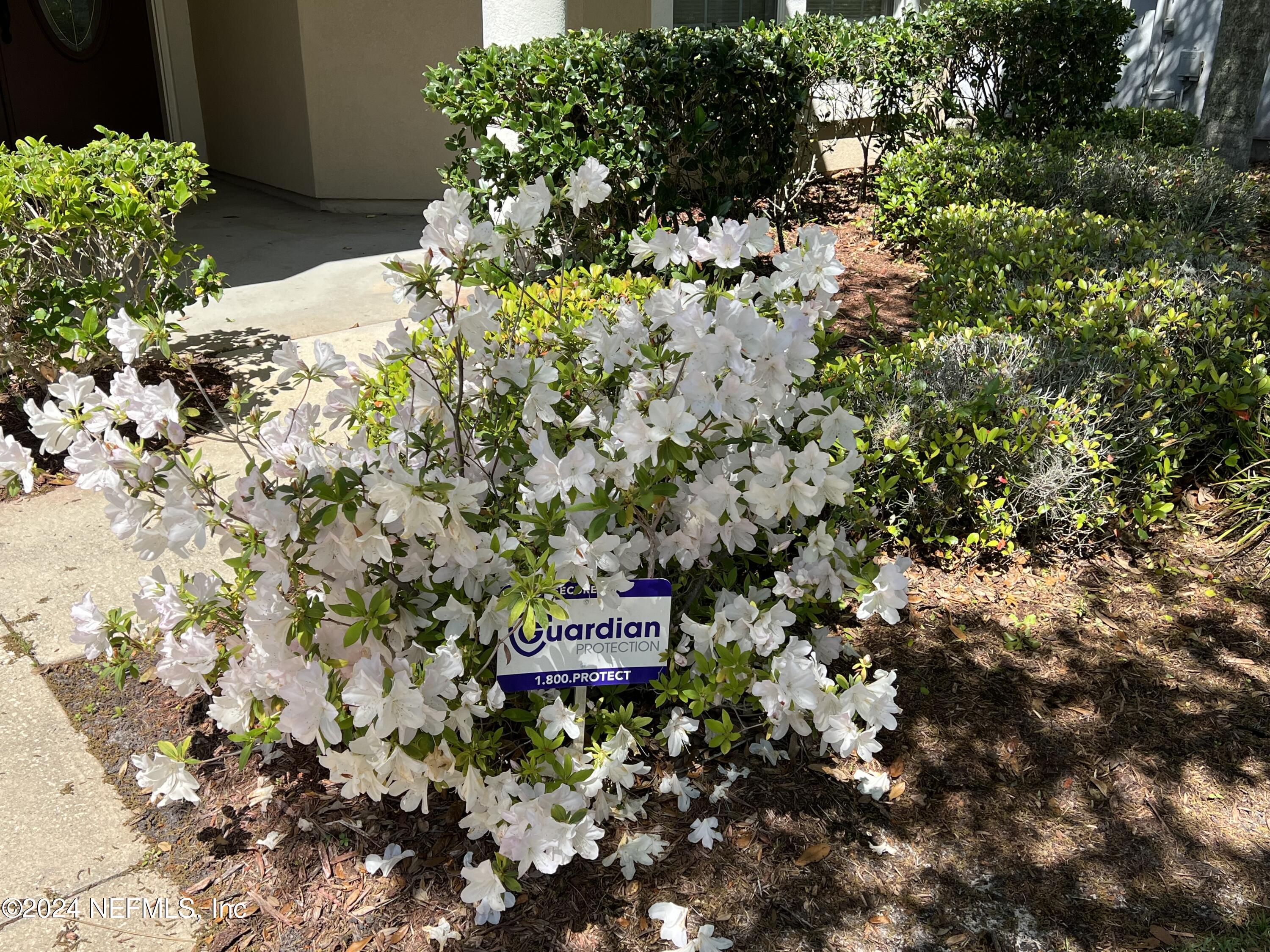 2406 Golfview Drive Fleming Island, FL 32003 - Photo 24 of 28 a backyard of a house