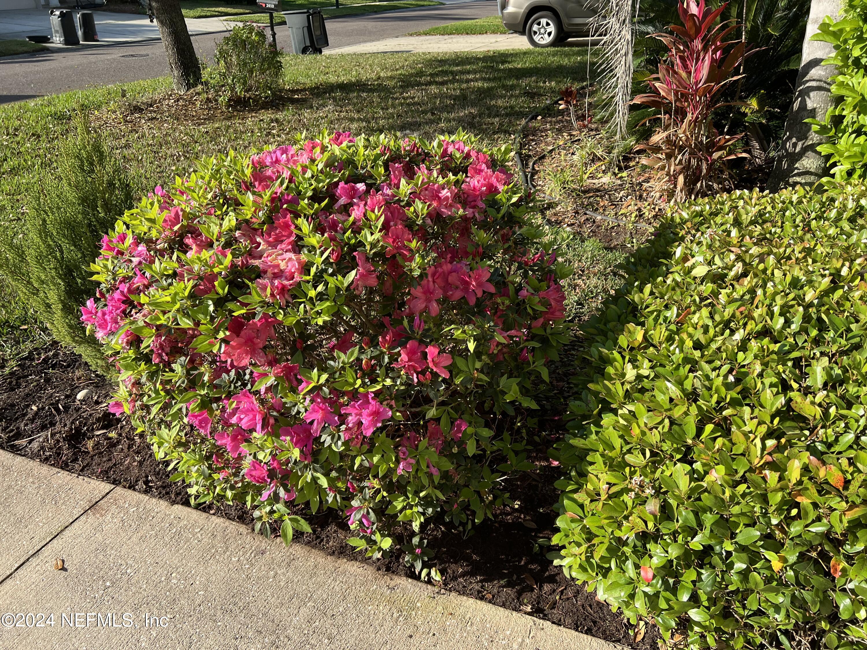 2406 Golfview Drive Fleming Island, FL 32003 - Photo 25 of 28 a view of a flower in a garden