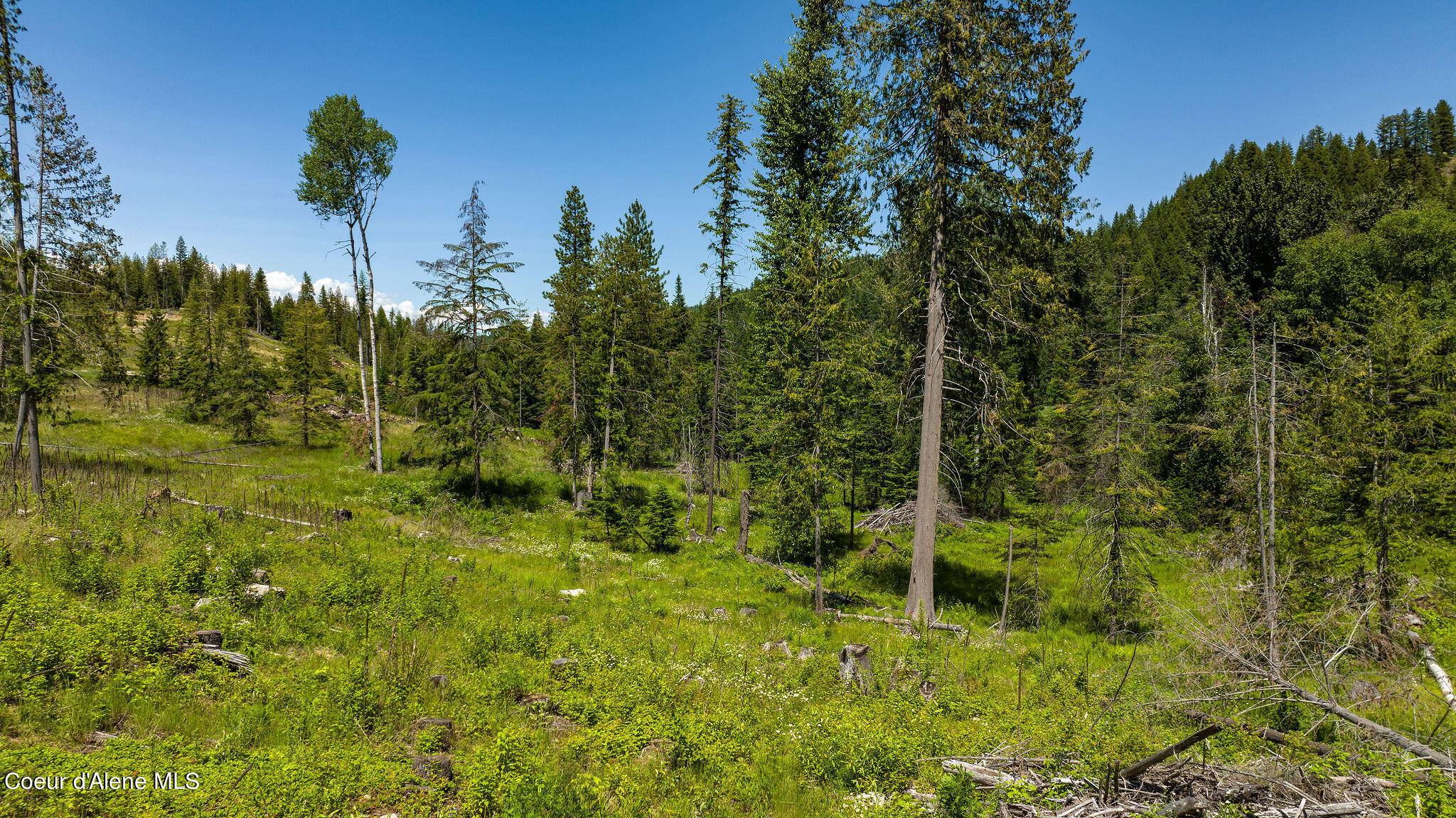 8360 Sunnyside Road Sandpoint, ID 83864 - Photo 21 of 23 Photo 1