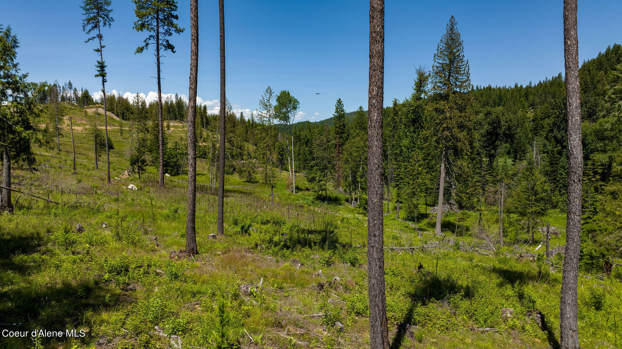 8360 Sunnyside Road Sandpoint, ID 83864 - Photo 22 of 23 Photo 2