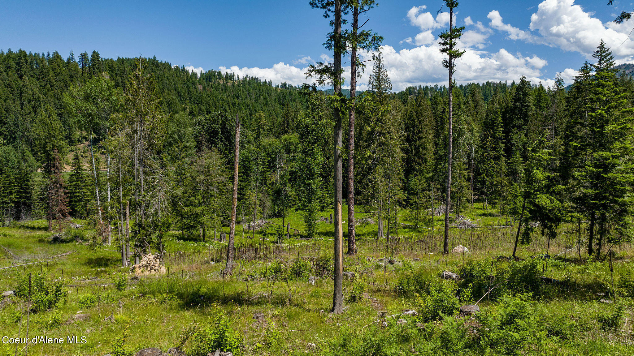 8360 Sunnyside Road Sandpoint, ID 83864 - Photo 23 of 23 Photo 3