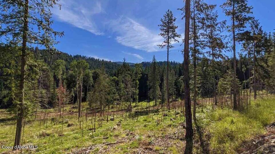 8360 Sunnyside Road Sandpoint, ID 83864 - Photo 3 of 23 20211702-1