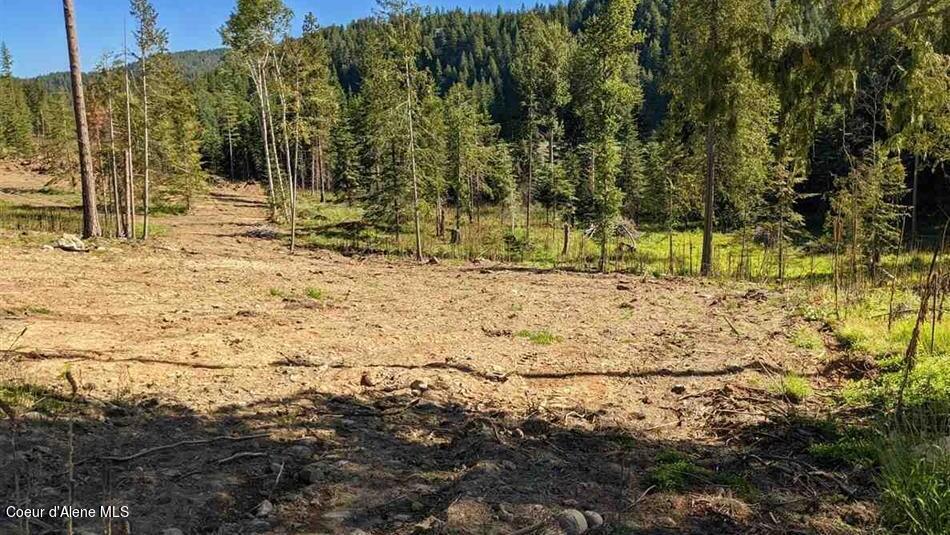 8360 Sunnyside Road Sandpoint, ID 83864 - Photo 4 of 23 20211702-2