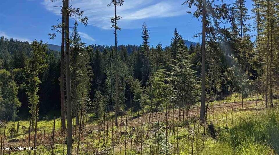 8360 Sunnyside Road Sandpoint, ID 83864 - Photo 5 of 23 20211702-6