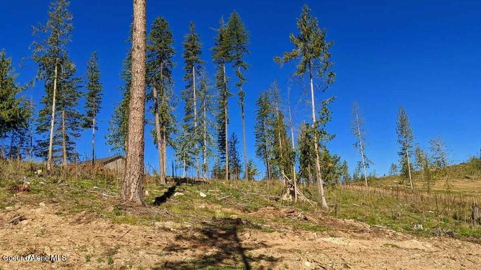 8360 Sunnyside Road Sandpoint, ID 83864 - Photo 6 of 23 20211702-11