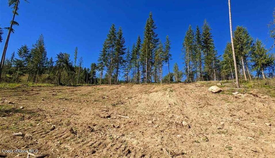 8360 Sunnyside Road Sandpoint, ID 83864 - Photo 7 of 23 20211702-12