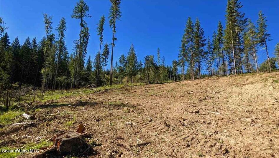 8360 Sunnyside Road Sandpoint, ID 83864 - Photo 8 of 23 20211702-13