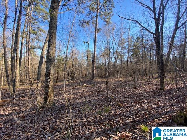 619 Ridge View Drive, Unit 5 ACRES Trussville, AL 35173 - Photo 14 of 20