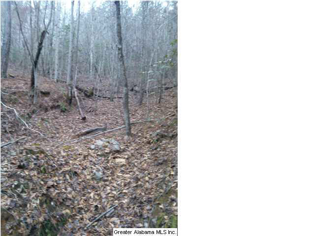 849 County Road, Unit 47 Wadley, AL 36276 - Photo 3 of 7