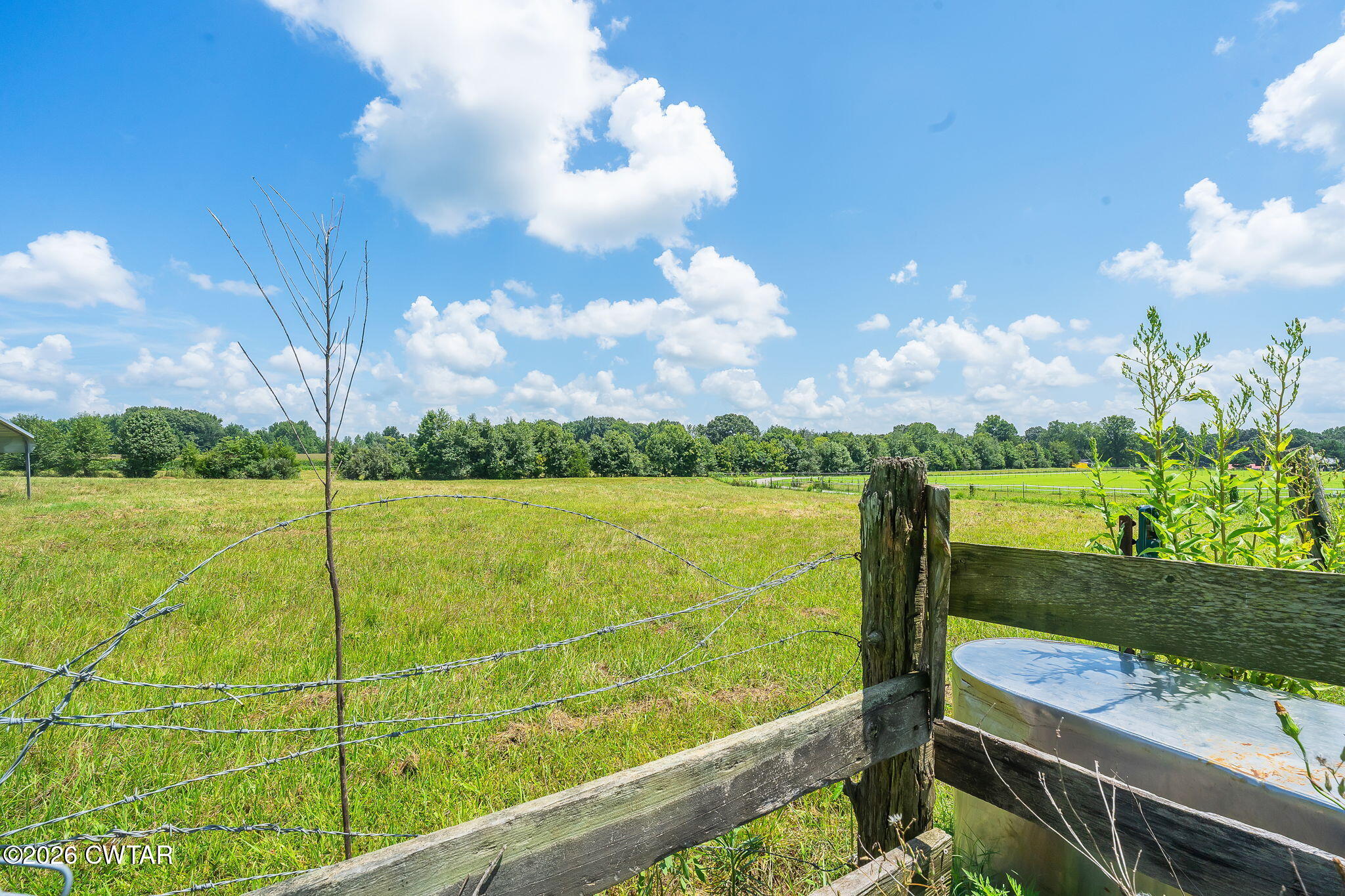 115 Spring Creek Law Road Jackson, TN 38305 - Photo 14 of 56 Kelly-50