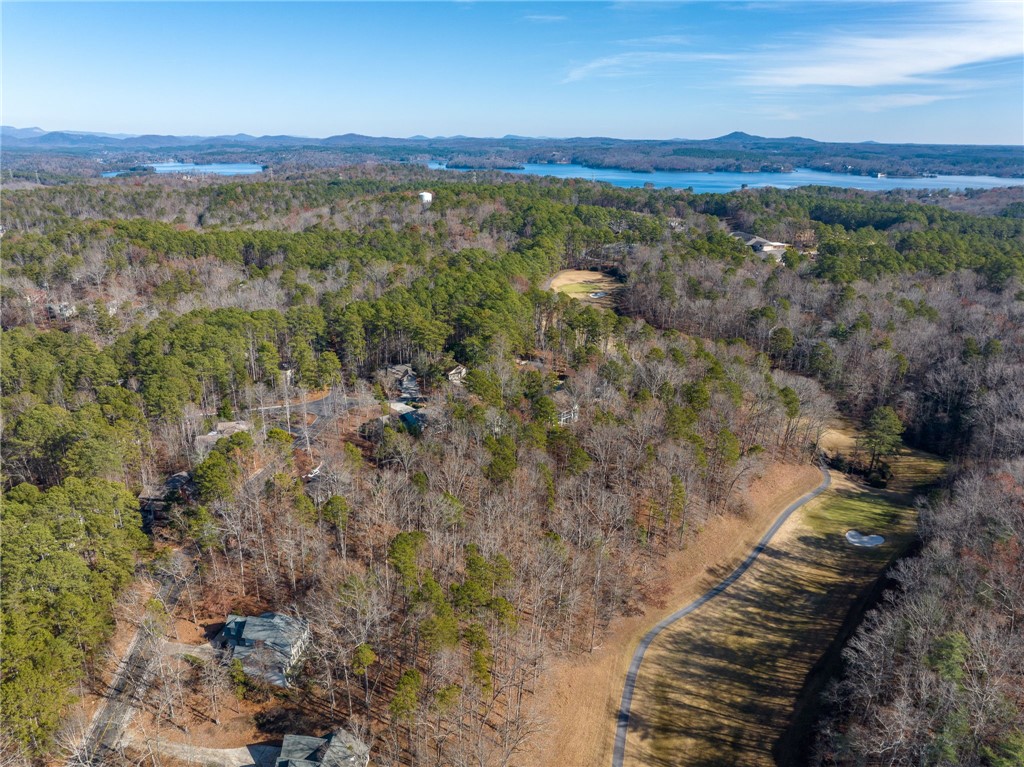 35 Port Tack Road Salem, SC 29676 - Photo 30 of 44 Home is on the left side and above hole #8