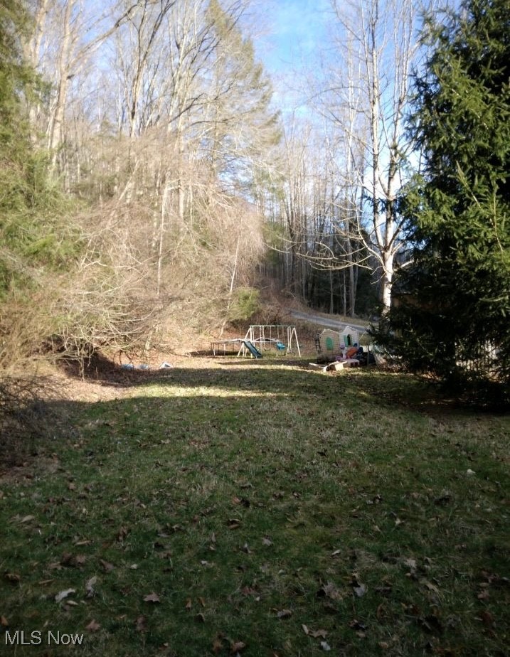 1004 Camp Scott Road Sutton, WV 26601 - Photo 6 of 14 View of yard featuring a playground