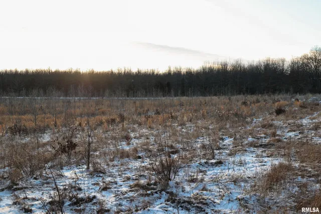 $729,000 | 878 East 450th Street, Plymouth, IL 62367