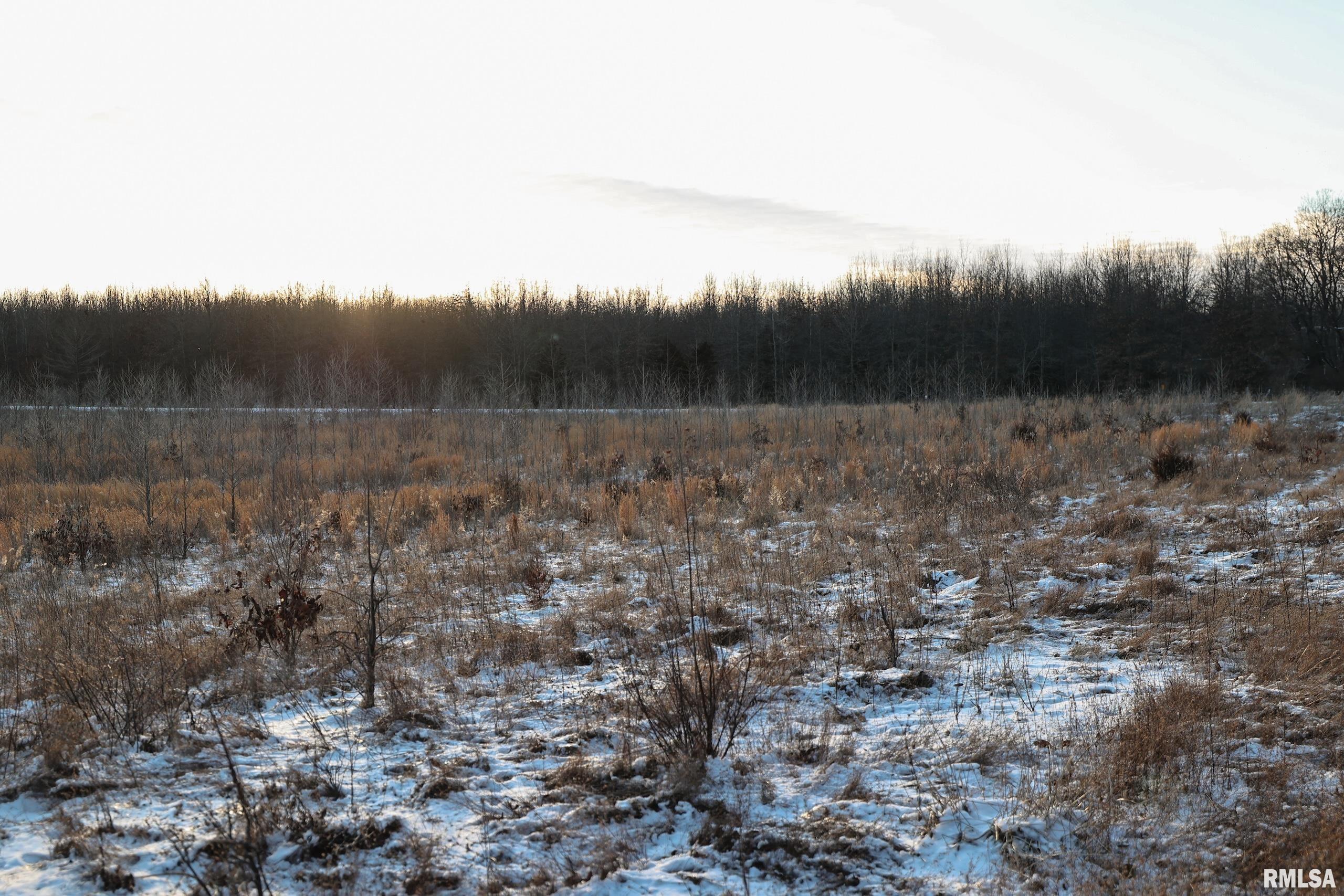 878 East 450th Street Plymouth, IL 62367 - Photo 12 of 100