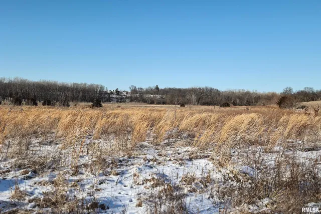 $729,000 | 878 East 450th Street, Plymouth, IL 62367