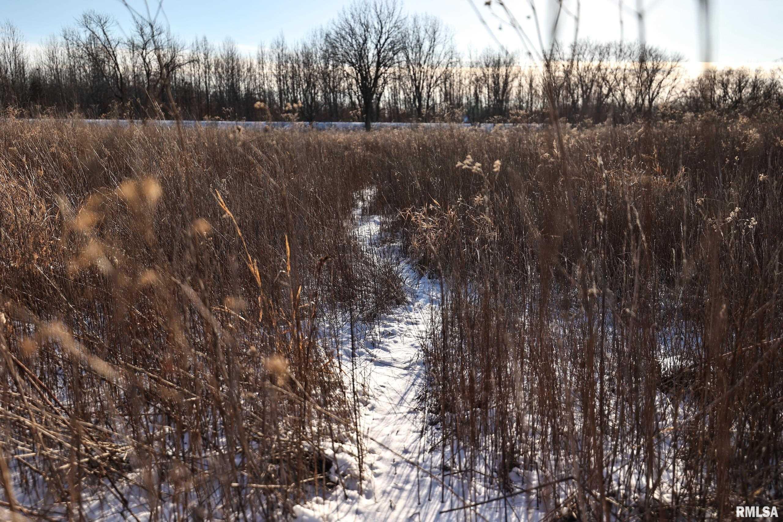 878 East 450th Street Plymouth, IL 62367 - Photo 71 of 100