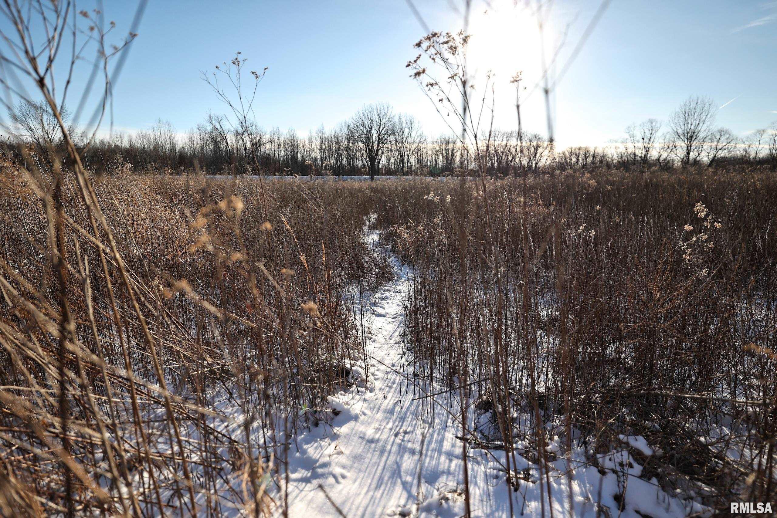 878 East 450th Street Plymouth, IL 62367 - Photo 72 of 100