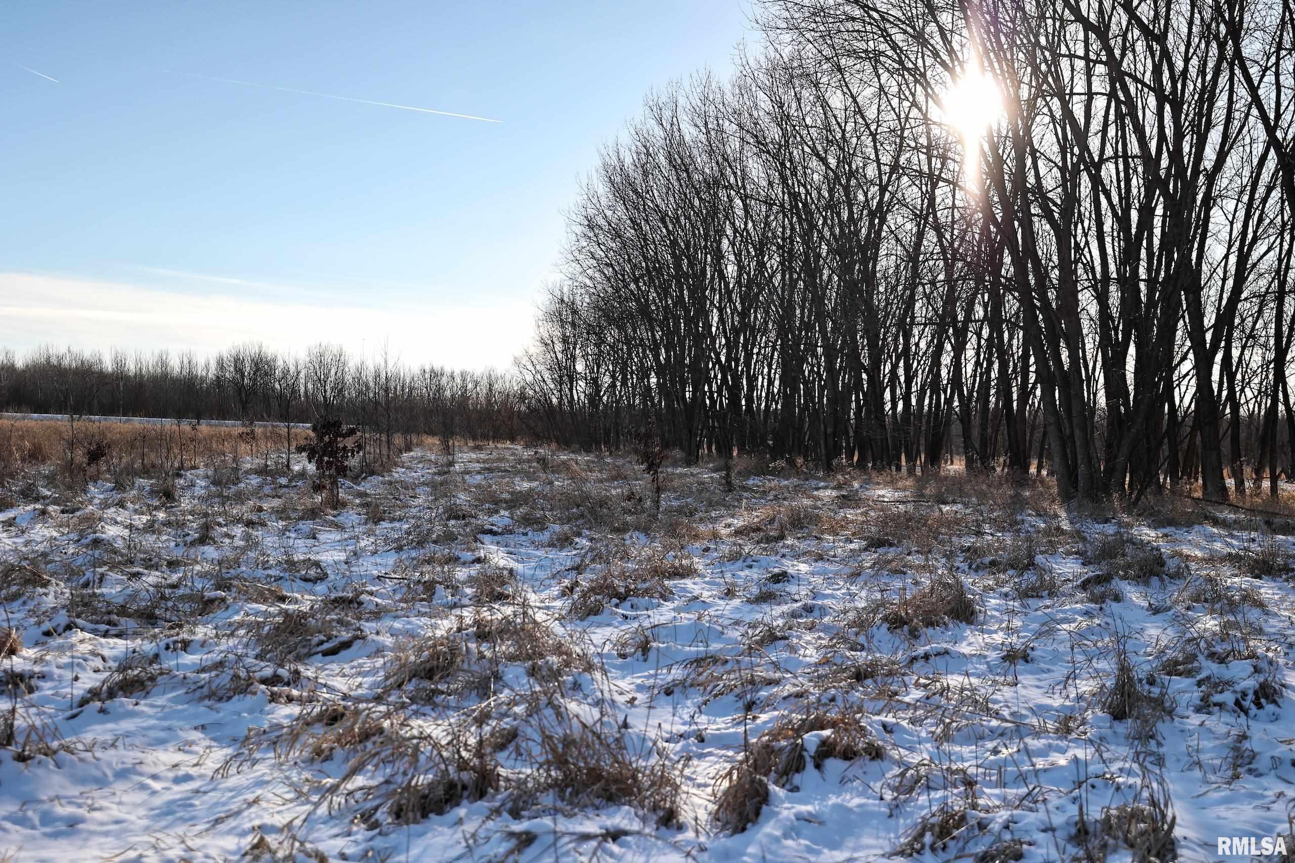 878 East 450th Street Plymouth, IL 62367 - Photo 74 of 100