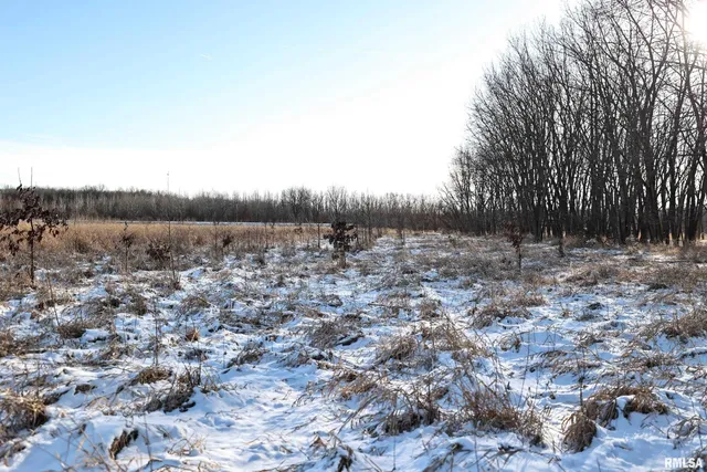 $729,000 | 878 East 450th Street, Plymouth, IL 62367