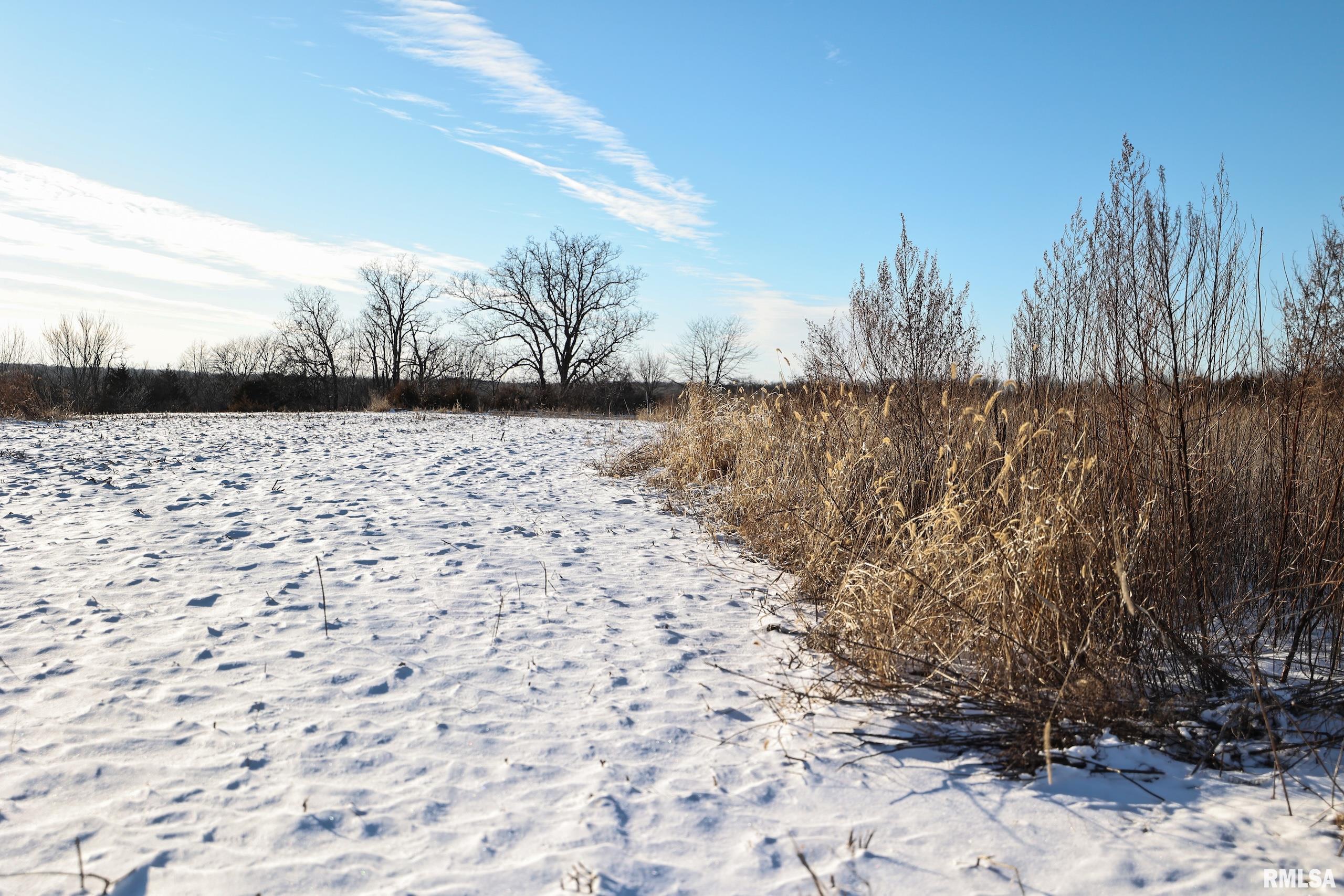878 East 450th Street Plymouth, IL 62367 - Photo 77 of 100