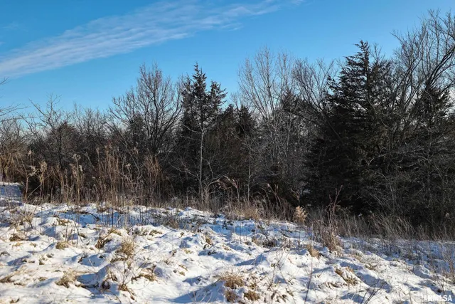 $729,000 | 878 East 450th Street, Plymouth, IL 62367