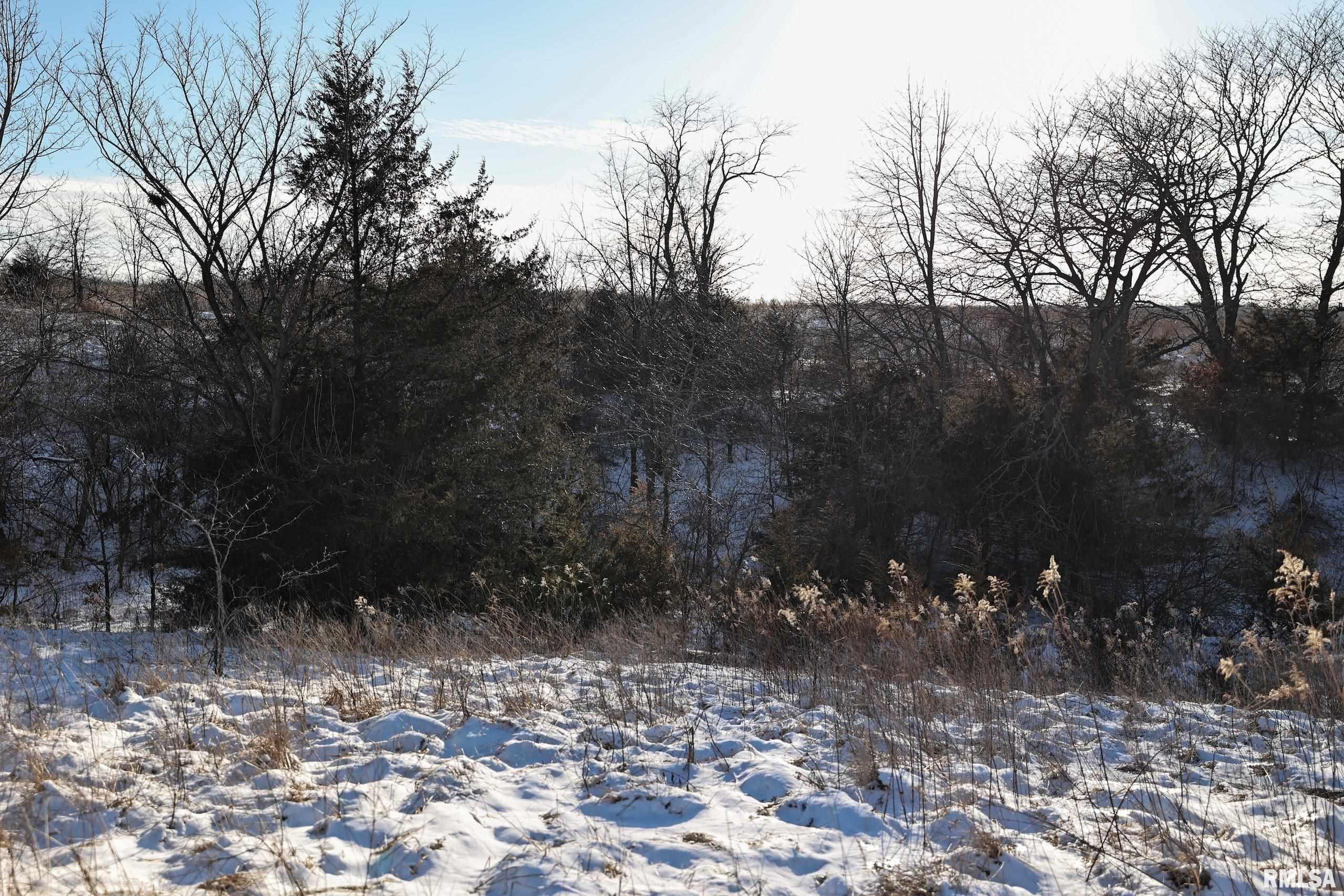 878 East 450th Street Plymouth, IL 62367 - Photo 80 of 100