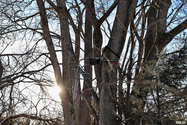 $729,000 | 878 East 450th Street, Plymouth, IL 62367