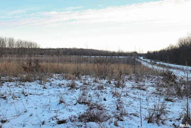 $729,000 | 878 East 450th Street, Plymouth, IL 62367