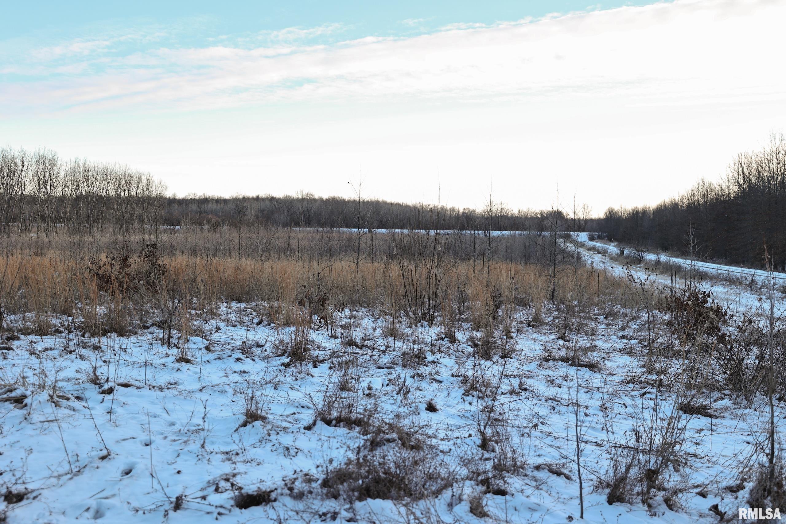 878 East 450th Street Plymouth, IL 62367 - Photo 82 of 100