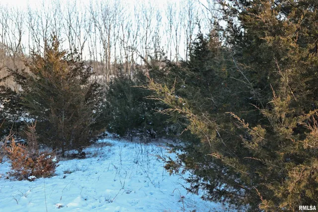 $729,000 | 878 East 450th Street, Plymouth, IL 62367